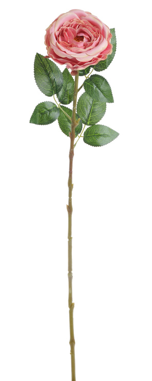 Umělá růže Austin, hlavička Ø 10cm/dl. 68cm - růžová