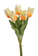 Tulipán papouščí 5 ks ve svazku s listy, 32 cm, barva 21