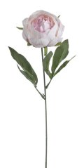 Umělá  pivoňka na stonku, hlavička Ø6cm/dl.44cm