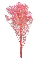 Přírodní gibsophila preparovaná dl. 73cm - 120g PINK