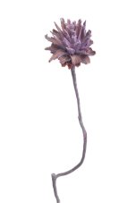 Přírodní materiál Plumosum 1 FROSTED BROMBEER dl. 28cm - 6ks