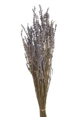 Svazek přírodní sušené levandule 100g LT.PURPLE