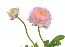 Umělá květina ranunculus 2 výhony, 1 květ,1 poupě s listy , květ 5cm, dl. 38cm