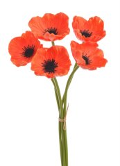 Vlčí mák 5 stonků s květy, 29 cm, barva 01