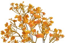 Umělá gypsophila – nevěstin závoj 70 cm