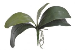 Umělé listy orchideje s kořínky dl. 36cm