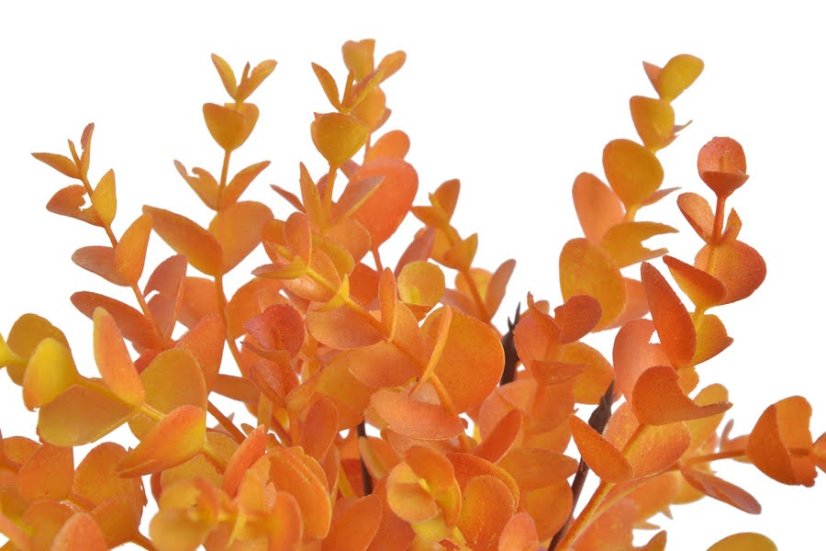 Eukalyptus 5 větviček, 34 cm, barva - 06