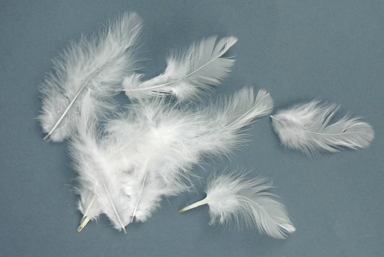 Přírodní peří 7 - 12 cm, peří WHITE_WH