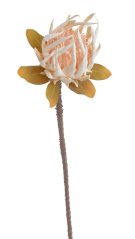 Umělá protea květ Ø 18cm, dl 94cm