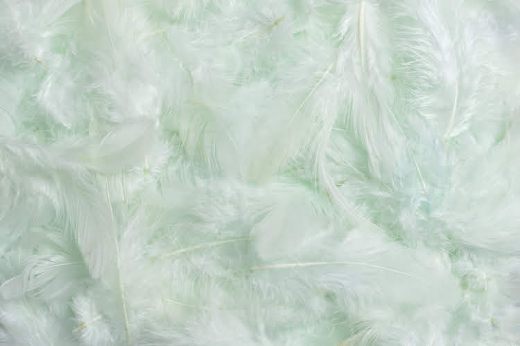 Přírodní barvené peří 7 - 12 cm, LT.MINT_114805