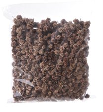 Přírodní dekorace casurina 2-3cm/500g
