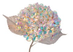 Opalizující hortenzie na stonku, květ  Ø 18cm, dl.celkem 62cm