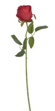 Umělá polorozvitá růže na stonku s listy, květ Ø 6cm, dl.50cm