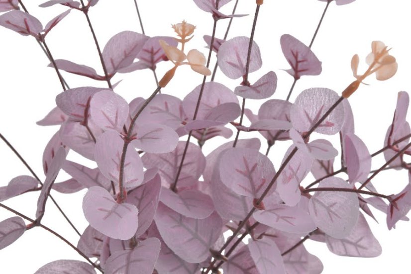 Kytice eukalyptus, 4 větvičky, 49 cm, barva - 06