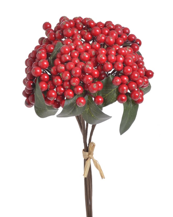 Hloh s plody – svazek 5 ks, 30 cm