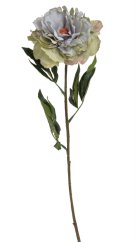 Květ rozkvetlé pivoňky na dlouhém stonku dl. 96cm_5395