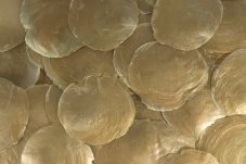 Přírodní dekorace  capiz painted gold 1kg
