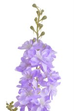 Umělá ostrožka dl.86cm