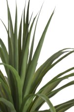 Umělá rostlina dracena v květináči, květináč Ø 17,5cmx13,5cmH, výška celkem 118cm