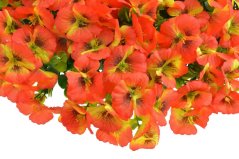 Dekorační věnec z umělých kvetoucích macešek Ø 50cm