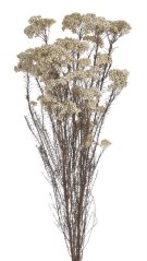 Přírodní materiál svazek květ horské rýže dl. 70cm - 80g