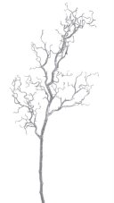 Dekorace umělá barvená větev dl. 106cm