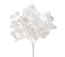 Umělá měsíčnice (Lunaria) krémová 41 cm