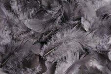 Přírodní barvené peří 7 - 12 cm, GREY_409C