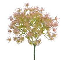 Limnophila 29 cm barva _06