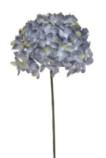Divoký bez svazek 6 stonků s kvítky, dl. 22 cm, barva 16