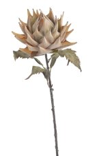 Umělá kvetoucí protea Ø17cm/ dl.74 cm
