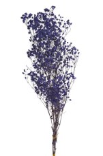 Stabilizovaná gypsophila (nevěstin závoj) levandulově modrá 80 cm, 100 g
