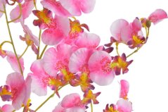 Lata umělé mini orchideje dl. 78cm
