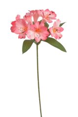Umělá kvetoucí alstromerie dl.42cm