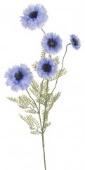 Chrpa luční 95 cm, 6 květů - světle modrá 249