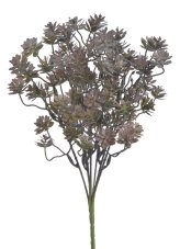 Rozchodník 34 cm, 7 větviček