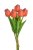 Svazek pěnových tulipánů s listy dl. 32cm - 5ks