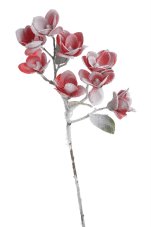 Zasněžená magnolie červená 62 cm