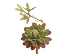 Umělý  Sukulent 9*13cm