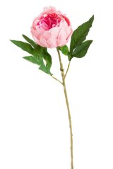 Umělá pivoňka na stonku s listy, hlavička jako živá, hlavička Ø 9cm, dl.58cm