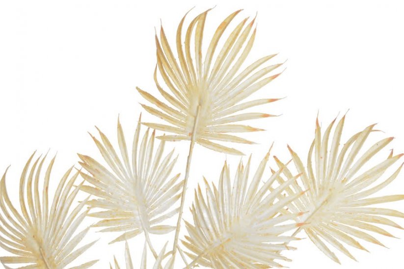 Větev s palmovými listy, 72 cm, barva 02