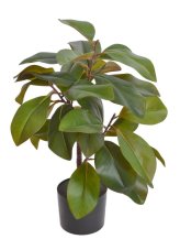 Umělý fikus v květináči květináč Ø 15cm, fikus 60cmH