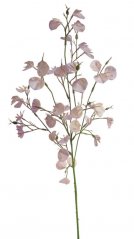 Lata umělé mini orchideje dl. 66cm