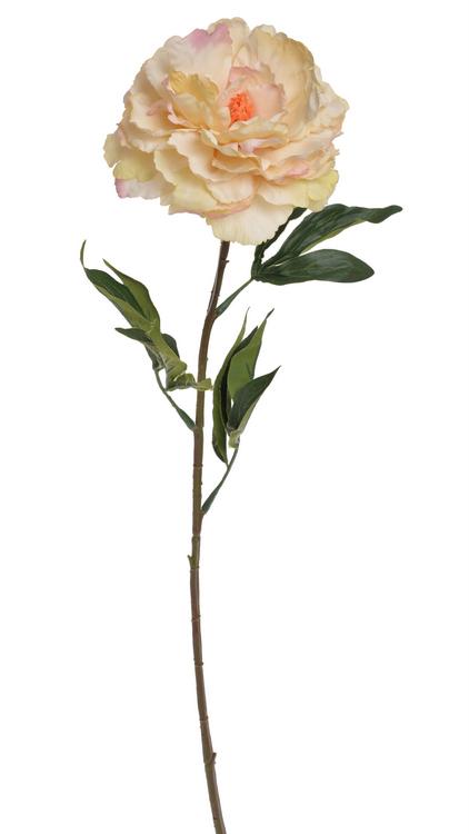 Květ rozkvetlé pivoňky na dlouhém stonku dl. 96cm_5397