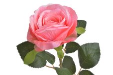 Umělá rozkvetlá růže, hlavička Ø 8cm/celkem dl. 58cm