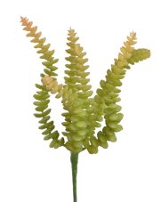 Umělé sukulenty Sedum Burrito 27cm