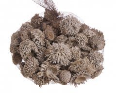 Přírodní dekorace Acorn Cones washed  4 - 7cm - 1kg