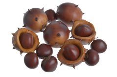 Podzimní dekorace - umělé žaludy 5cmL x 4cmW x 5cmH, 5cmL x 4cmW x 4cmH, 3cmL x 2cmW x 2,5cmH. -  12ks