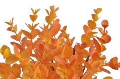 Eukalyptus 5 větviček, 34 cm, barva - 06