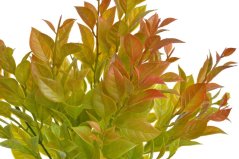 Keřík umělých olistěných větviček, 5 výhonů - dl. 38cm